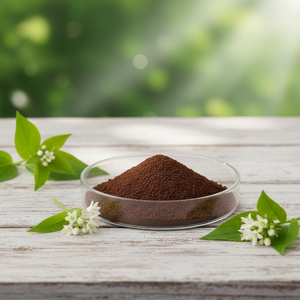 Extrait d'<span class=keywords><strong>Epimedium</strong></span> (Horny Goat Weed) <span class=keywords><strong>Macun</strong></span> Sagittatum 5% 10% Icariin Icariines - Product Image 6
