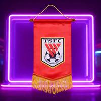 Drapeau de supporter YF de haute qualité 20x30cm, mini-guirlande suspendue personnalisée, impression numérique couleur, drapeau de football en satin pour échange