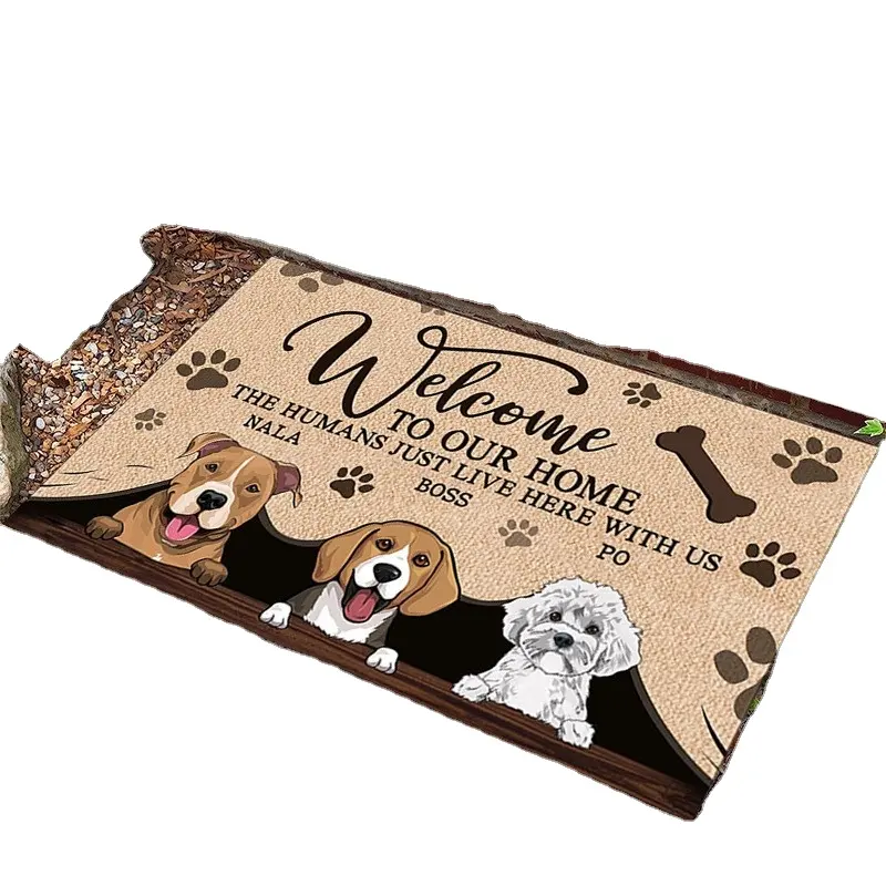 Tapis à motif animal de dessin animé pour décoration de porte d'entrée tapis salle de bain tapis de protection adhésif antidérapant intérieur