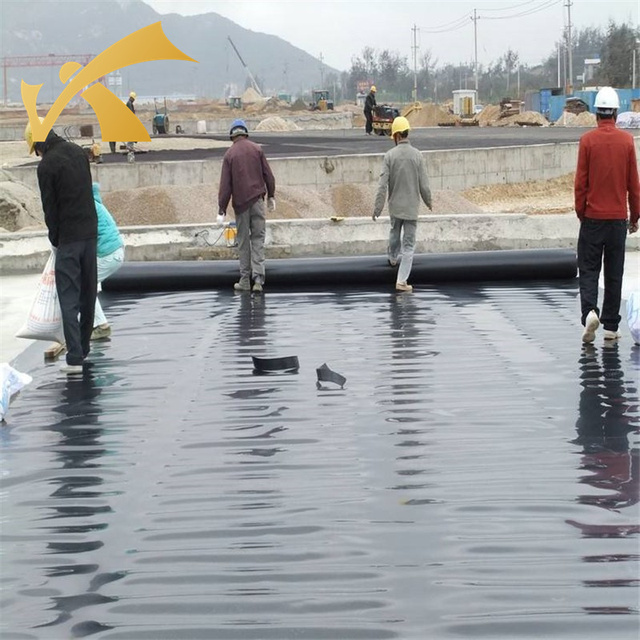 100% Virgin Raw Material 0.75mm HDPE Geomembrane Dam Liner Fish Ponds Outdoor Plastic PVC LLDPE Fish Farm Aquaculture Liner