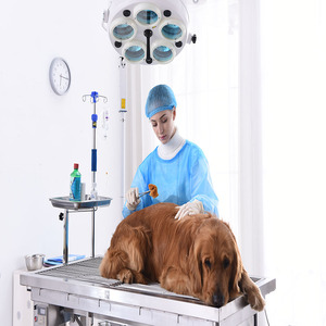 Stainless Steel Veterinary Operating Table for Pet Medical &amp; <strong>Vet</strong> <strong>Surgery</strong> <strong>Instrument</strong> for Canine Care - Product Image 2