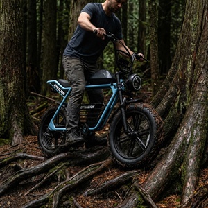 Vélo électrique haute performance 48V 16Ah avec pneus larges, vélo <span class=keywords><strong>de</strong></span> montagne pour l'aventure en plein air - Product Image 3