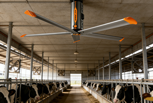 Ventilador de Techo Industrial HVLS RTFANS, Gran Ventilación y Refrigeración para Fábrica, Almacén u Oficina, Opciones de Tamaño 3.3 / 4.0 / 4.7 Metros - Product Image 6