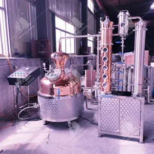 Colonne de Distillation Distillerie 200L Boule de Whisky en Forme de Casque 6 ''En Verre Colonne Cuivre Buffle Plaque Gin Distillateur