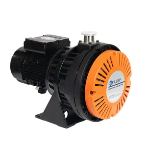 LZSP-600 0.75kw 600L/min Low Noise Oilless Dual Stage Dry Scroll Vacuum Pump