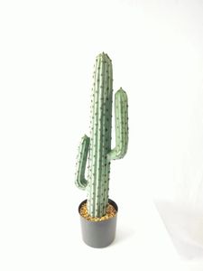 Aménagement paysager et jardinage et décoration de bureau à la maison ou à l'hôtel plante artificielle <span class=keywords><strong>Cactus</strong></span> Cm <span class=keywords><strong>Amazon</strong></span> vente chaude pilier de <span class=keywords><strong>cactus</strong></span> tropical - Product Image 2