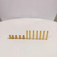 Derniers accessoires de golf 0.335 0.355 0.370 Tige en acier à pointe 2g 4g 6g 8g 10g Clou en laiton pour clubs de golf