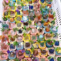 Mini pot de bonsaï en pierre brute naturelle avec fleur artificielle, ornement de bureau en pierres précieuses, décoration d'intérieur
