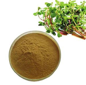 Extrait de Yucca en Poudre de Qualité Alimentaire à Bas Prix, Additif Alimentaire à Base de Plantes, Extrait Herbal par Extraction par Solvant, Conditionné en Bouteille ou en Bidon - <span class=keywords><strong>Wellgreen</strong></span> - Product Image 2
