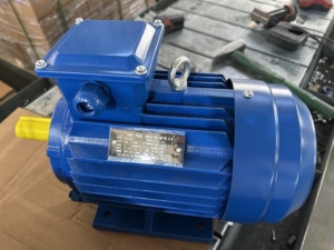 Motor de Inducción Eléctrico Trifásico Asíncrono de Baja Velocidad YE2-100L1-4 2.2kw 3HP 1460rpm, Generador de Corriente Alterna Trifásico - Product Image 2