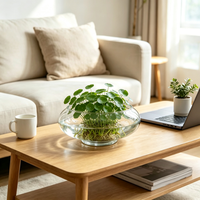 Vase en verre transparent moderne pour plantes hydroponiques, terrarium de table et décoration de bureau et de maison, décoratif transparent