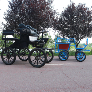 Chariot de luxe à chevaux pour marathon touristique, 2 roues, mini-chariot à chevaux, à vendre, chariot à chevaux à 4 roues - Product Image 6