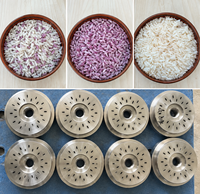 Ligne de production industrielle automatique de riz artificiel nutritif et doré, extrudeuse de riz reconstitué enrichi en vitamines