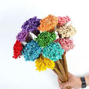 Ramos de Margaritas Secas Brasileñas Pequeñas, Naturales y Preservadas, para Decoración Boho, Aromatizantes, Accesorios para Fotos de Boda, Paquete al por Mayor, Kits DIY - Product Image 1