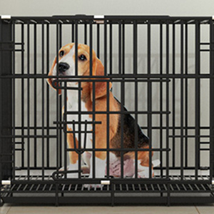 Gabbie per uccelli per la vendita di castità in acciaio cane pappagallo gabbie di stoccaggio criceto gabbie per uccelli per la vendita - Product Image 4