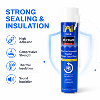 Mastic polyuréthane A13 750ml pour basses températures, qualité hiver -20°C, pour cadres de portes, joints de fenêtres et murs