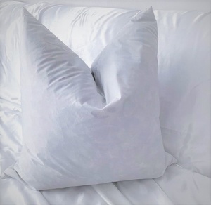 Oreillers en duvet de plumes de canard blanc pour hôtel et maison, lavés en gros, inserts de coussin - Product Image 1