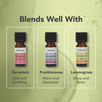 Huile Essentielle de Bergamote 10ml (FCF) Marque Blanche pour l'Aromathérapie, Huile de Bergamote 100% Pure et Biologique pour la Fabrication de Parfums, Savons et Bougies