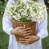 Buket Gypsophila Bunga Buatan Mirip Asli Bertema Langit Berbintang dengan Batang Hijau untuk Dekorasi Pernikahan, Fleksibel untuk Rangkaian Bunga DIY