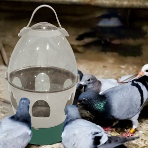 <span class=keywords><strong>Bebedero</strong></span> <span class=keywords><strong>para</strong></span> palomas personalizado <span class=keywords><strong>con</strong></span> múltiples agujeros <span class=keywords><strong>para</strong></span> <span class=keywords><strong>pájaros</strong></span>, alimentador de agua de plástico PET + ABS, superventas - Product Image 5