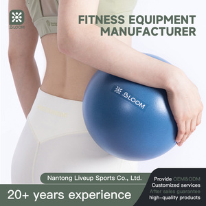 <span class=keywords><strong>Pelota</strong></span> <span class=keywords><strong>de</strong></span> <span class=keywords><strong>Yoga</strong></span> Personalizada <span class=keywords><strong>de</strong></span> 20/30 cm para Ejercicio, Mini Balón Pequeño <span class=keywords><strong>de</strong></span> Pilates <span class=keywords><strong>de</strong></span> PVC para Gimnasio y Fitness, <span class=keywords><strong>Pelota</strong></span> <span class=keywords><strong>de</strong></span> Estabilidad con Logotipo - Product Image 5