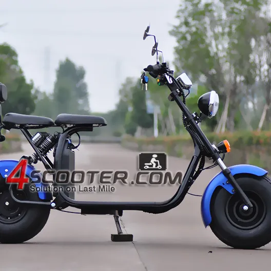 EEC COC CITYCOCO ELECTRIC SCOOTER k2ジョンウェイ3000w