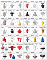 Tous types de clips de voiture universels Rivet en plastique Clips de carrosserie de porte Vis Rivets de retenue de type poussoir Fixations de voiture automatique