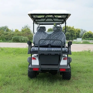 Carrito de Golf de Alta Gama 2025 con Colores Personalizables, 4 Plazas, Motor de 3500W-7500W, Batería de Litio, 30-50 km/h, Autonomía de 50-70 km, para 4 Personas - Product Image 6