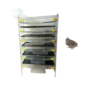 6 layers Fat quail laying cage with egg collection for sale i HJ-QC400A