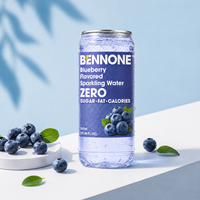 Eau gazeuse aux myrtilles sauvages BENNONE, sans sucre ajouté, antioxydante, boisson fruitée pétillante, 300 ml, canette individuelle, OEM ODM