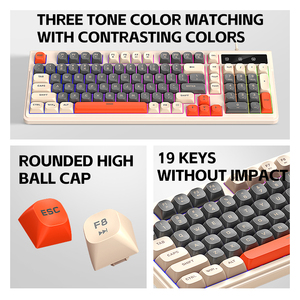 T-WOLF T13 Chơi Game Bàn Phím Có Dây 98 Phím Mát Mẻ Hỗn Hợp Màu Sắc Đèn Nền Bàn Phím Văn Phòng Cho Máy Tính Xách Tay Máy Tính Để Bàn Thấp Moq Tùy Chỉnh - Product Image 6