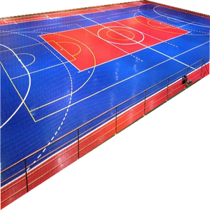 Cancha de Pickleball y Baloncesto para Patio Trasero - Product Image 1