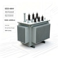 Transformador de Distribución de Energía Sumergido en Aceite de 66kV S9, Económico y Accesible
