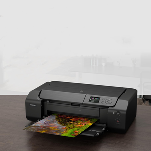 Impresora Fotográfica Inalámbrica Profesional A3 Plus de Inyección de Tinta, Impresora de Formato Ancho de Alta Resolución de 8 Colores para Impresión de Fotos y Obras de Arte - Product Image 6