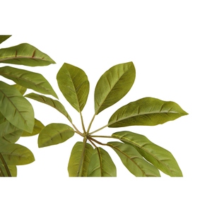 Árbol Artificial de Schefflera <span class=keywords><strong>Arboricola</strong></span> de 65 cm, Árbol de Paraguas Artificial, Árbol Decorativo de Interior, Árbol Perenne - Product Image 5