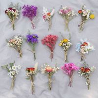 Mini Ramo de Flores Secas, Decoración para Tarjetas, Materiales para Manualidades, Accesorios para Fotografía, Caja de Regalo, Pequeño Recuerdo, Boutonniere