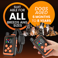 Collier de dressage pour chien sans fil 300M, design personnalisé, ultrasons, choc, vibration, bip, flash LED, 5 modes de dressage, mini E-Collar