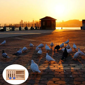 Cage d'élevage de pigeons en bois massif de haute qualité avec nichoir et accessoires complémentaires pour oiseaux - Product Image 3