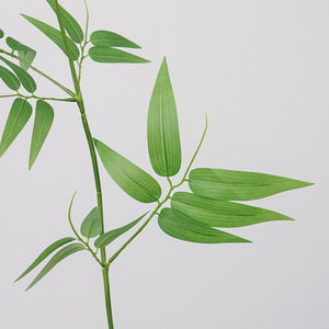 Rami di Bambù Moso di Alta Qualità in Seta Vegetale, Composizioni di Piante Verdi, Foglie di Bambù Artificiali - Product Image 6
