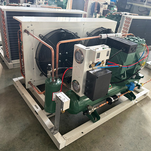 Unité de condensation à compresseur refroidi par air avec <span class=keywords><strong>moteur</strong></span> à économie d'énergie pour chambres froides et congélateurs - Product Image 1