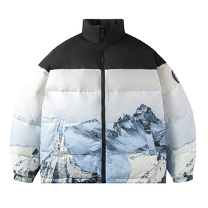 Chaqueta de Montaña para Invierno 2025, para Hombre y Mujer, Casual, a la Moda, Resistente al Viento, Cálida, con Cierre de Cremallera, Diseño Moderno Estampado, Cuello Alto - Product Image 5