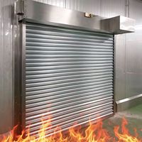 Puerta Enrollable de Acero de Alta Calidad Fabricada en China, Resistente al Fuego por 3 Horas, Insonorizada, con Control Remoto, para Uso Industrial