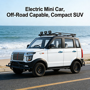 Veicolo Elettrico per Adulti Bestseller Langtuo, Auto <span class=keywords><strong>Elettrica</strong></span> a Nuova Energia per Famiglie, <span class=keywords><strong>Mini</strong></span> Auto per Guida Familiare con Autonomia 101-200km - Product Image 4