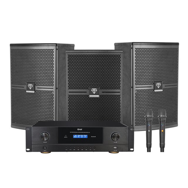 Diamond Speaker Factory Home Theater System 600W Amplifier Power 2.1 Channel Professional Audio with UHF Wireless Microphones