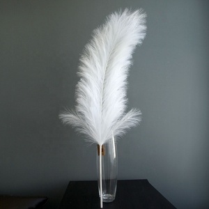 Lớn chùm lông đà điểu trắng kem màu đen giả đà điểu lông nhân tạo pampas cỏ cho tiệc cưới trang trí nhà - Product Image 1
