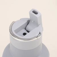 Bouteille isotherme personnalisable en acier inoxydable à double paroi avec poignée, pour voyage, sport et vin, avec paille
