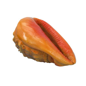 Escultura de concha personalizada, artesanías de resina, adornos artificiales para pecera y estatuilla de concha marina para la decoración del acuario del hogar - Product Image 6