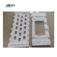 Máquina de alta calidad BES EPS, máquina de moldeo por inyección, máquina de producción de espuma de poliestireno para bandeja de siembra, paquete de TV