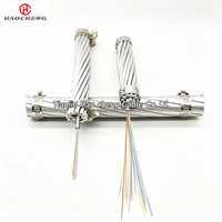 Câble à fibres optiques extérieur 36 cœurs OPGW-16-140-1 pour communication sur ligne électrique, standard pour utilisation aérienne
