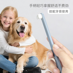 Pet <b>Toothbrush</b> For Dogs And Cats Small <b>Head</b> Soft Bristles Lightweight Oral Care Tool For Pet Teeth Cleaning - Product Image 1